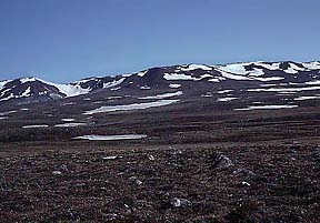 A picture of tundra
